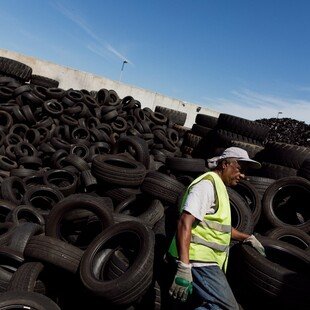 Man separating reusable tyres at a waste management site