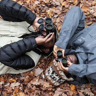 Birdwatchers lie on the ground to get a new perspective, looking upwards into the trees. 