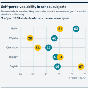 Chart showing students' self-perceived ability in school subjects