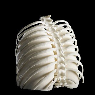 One of the winning images for the 2015 Wellcome Image Awards. Photograph of 3D-printed human lungs inside their ribcage by Dave Farnham.