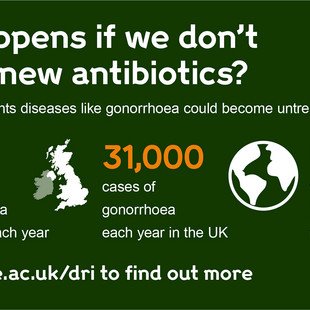 Infographic about what will happen to gonorrhoea infections if we don't develop new antibiotics