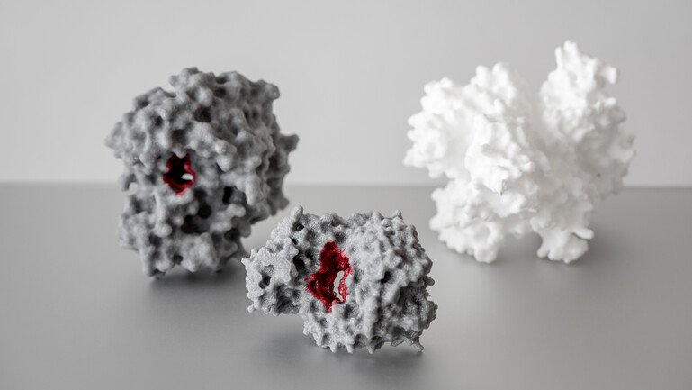 3D-printed structures of proteins